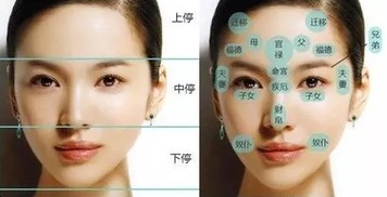 八、 牙齿——有序紧实即肾气充沛
