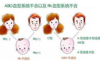 o型血女性梗容易患上哪些特定疾病？