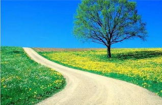 生机勃勃！希望满满！