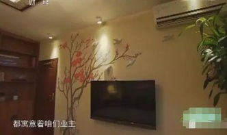 一、  空间范围气场之冲突：地阴与光耀之矛盾