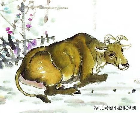 将荒郊野外打一生肖，是哪个生肖尾巴特长？