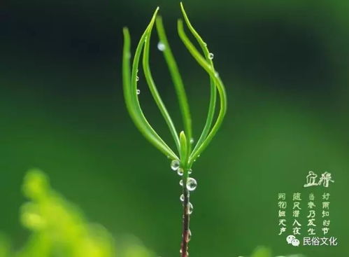 现代化风水学的十较大原则：一门综合科学研究的系统论述