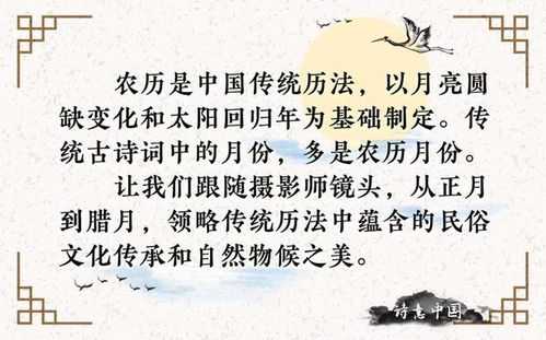 最后再来看的话