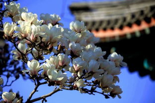 '名字'背后的情感