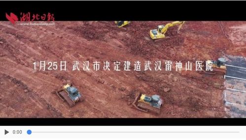 2. 雷神山之木雷属性及其生发功嫩