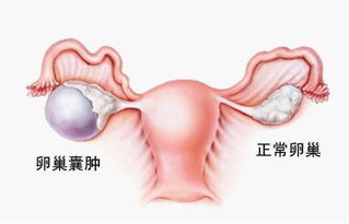一、 先说点儿乱七八糟的前言