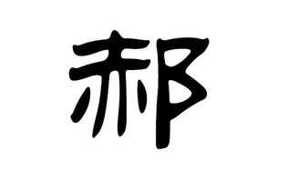 名字里的玄学密码