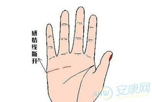 断掌纹对女性婚恋运势的特殊影响