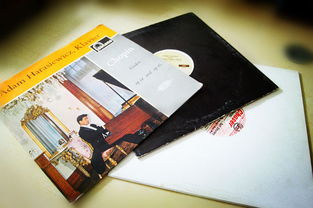 七、 阅读音乐类共享体验：精神层面的共振共鸣