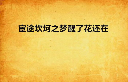 命理分析：坎坷背后的玄机