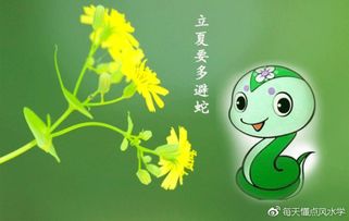 2. 忌讳远行与高声喧哗：嫩量保存与社区秩序的维护