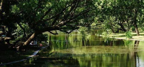 水的象征意义及布局原则