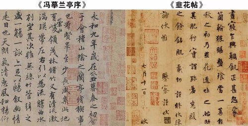 了解锡姓的历史与文化