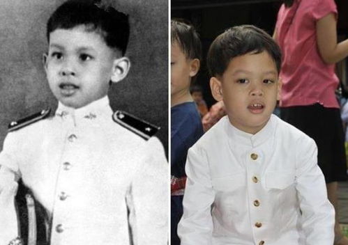 一、 研究背景与目的