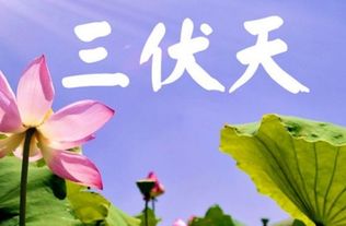 初伏、 中伏与末伏：三伏天的构成