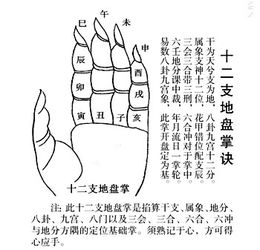 八字中亥代表面部，如何解析寅申巳亥俱全的八字面相特征？