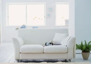 2. 客厅摆放：迎客纳福