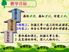 1.1 抽取与登记阶段