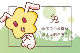 属火兔男生性格特点如何，适合送什么生日礼物给男生？