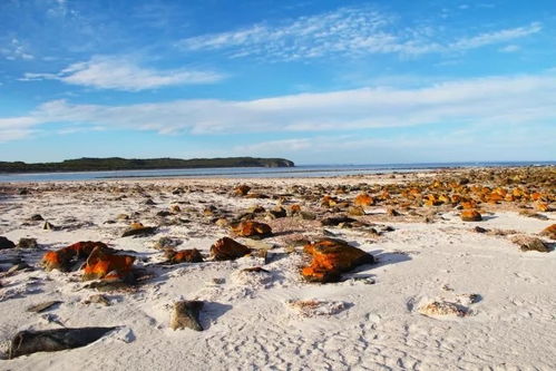 2026年必玩项目：不玩会后悔三生三世！