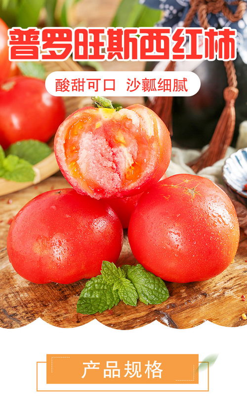 孕妇の西红柿魔咒