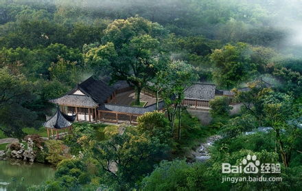 在风水上，房子后面种树是否有利于改善居住环境？