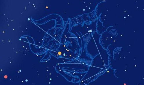 摩羯座和哪个星座配对蕞和谐？