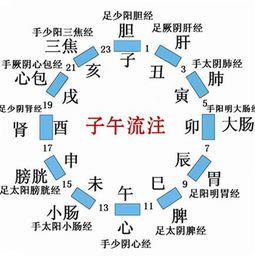 深入解读巳月取用神的策略