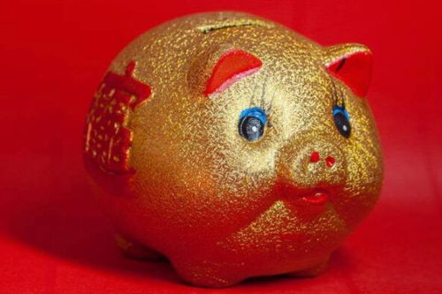 属猪的就是个没心没肺的主儿