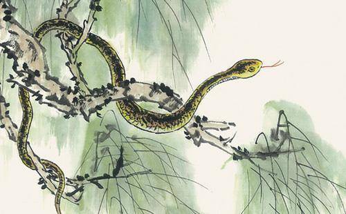 钱包鼓鼓，数钱数到手软