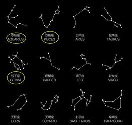 一、 生肖星座作为文化底蕴符号对伴侣可靠感的潜在作用于