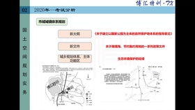 如何通过三小时学习快速掌握看八字的方法？