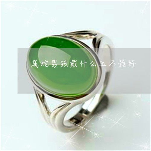 属蛇男孩取什么名字最吉利，有没有免费推荐的最佳名字呢？