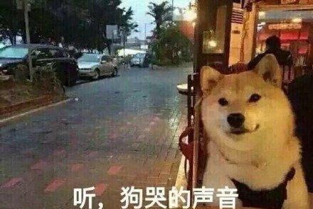 灵蛇之谜：地气凝聚与风水破绽