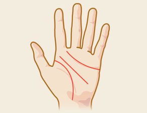 近两年手相运势佳的男士，本周手相中哪位男士的运势最为旺盛？