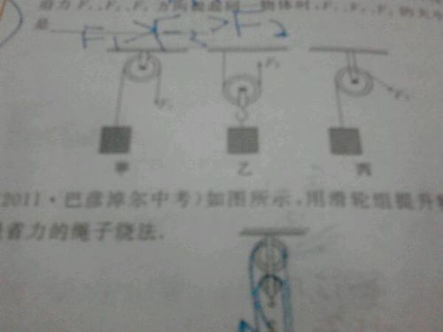 甲乙年分别是什么生肖？甲乙丙打一生肖是什么意思？