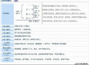 三、命运学评分分析