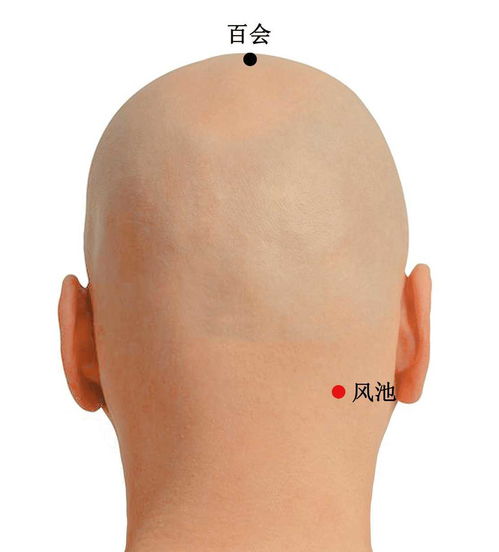 （二）钳穴的“穴晕”与生气萌动