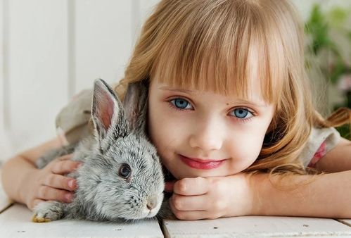 一些无厘头的建议