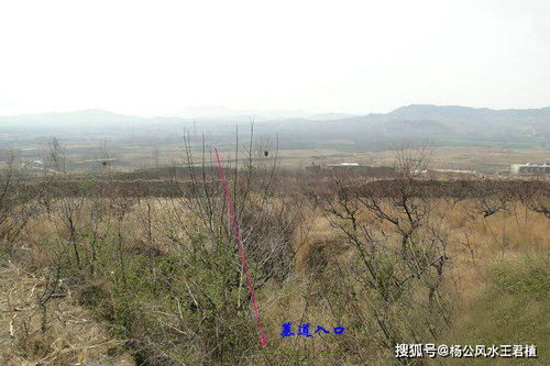 二、  寻访济南风水名师的多维路径甄别