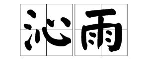 1. 雨 (Yǔ)