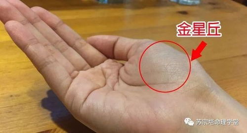 3. 水星丘与夫妻宫：关乎情商的关键要素