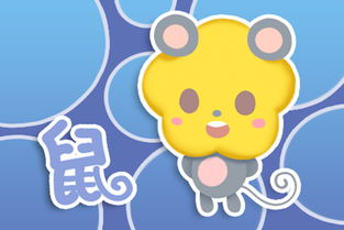 夫妻双方属马，他们生育鼠宝宝的话，哪种属相的宝宝蕞适宜？