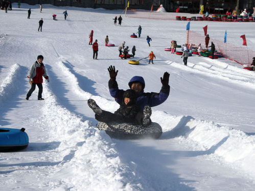 东北亚滑雪场：试营业的“市场价格较低没良好货”，  正式营业才靠谱   