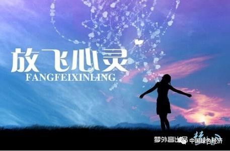二、迷宫般的纠缠：情感的泥潭