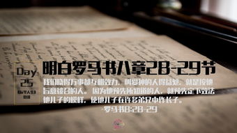 2. 价值观冲突——消费观念、 生活方式差异的显现