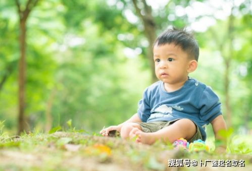 春季 (阳刚之气)