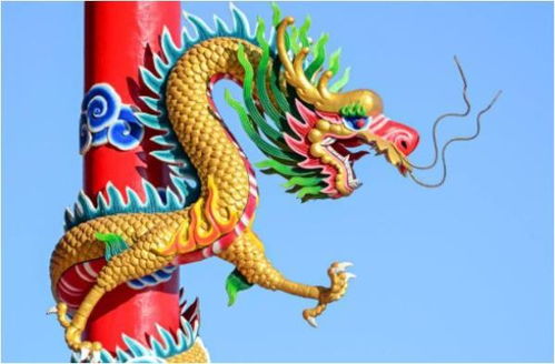 属龙人2026年1月事业运如何提升？