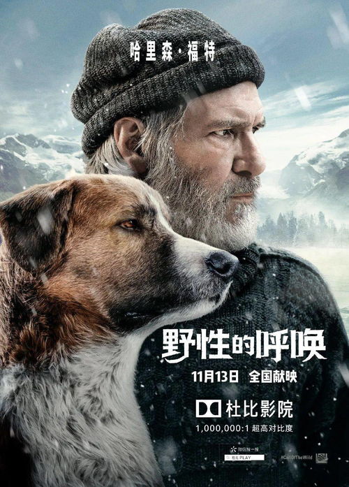 三、从兔人桥传说看都市怪谈形成机制：真实事件与集体想象交织研究