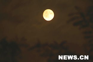 ：暌违八载的满月奇观